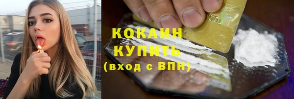ПСИЛОЦИБИНОВЫЕ ГРИБЫ Гусев