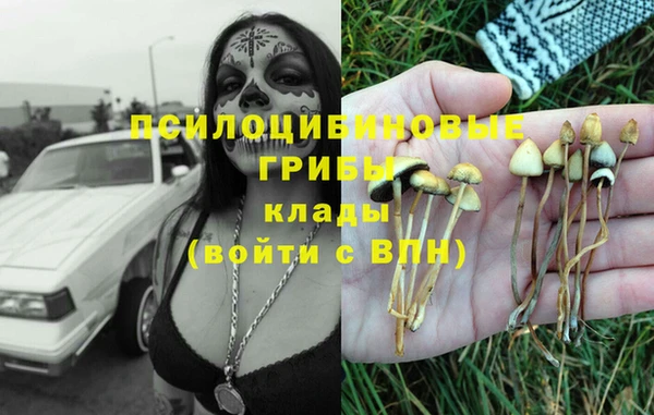 мяу мяу кристалл Елизово