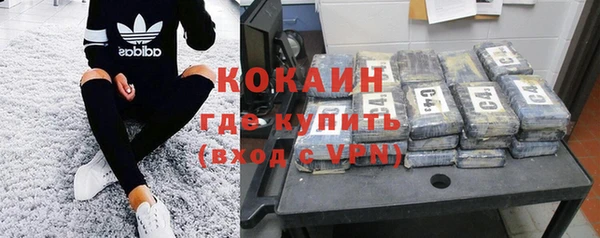 ПСИЛОЦИБИНОВЫЕ ГРИБЫ Гусев