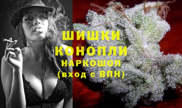 альфа пвп Гусиноозёрск