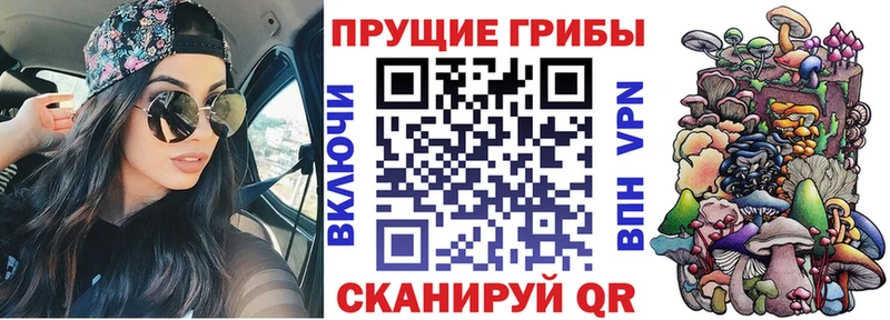 Купить закладки  Кораблино  Псилоцибиновые грибы Psilocybe 
